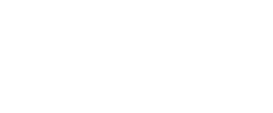 Saneg Energy